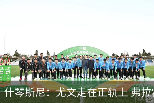 什琴斯尼：尤文走在正轨上 弗拉霍维奇非常出色