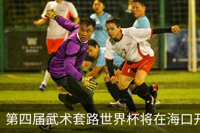 第四届武术套路世界杯将在海口开赛 30多个国家和地区人员参赛